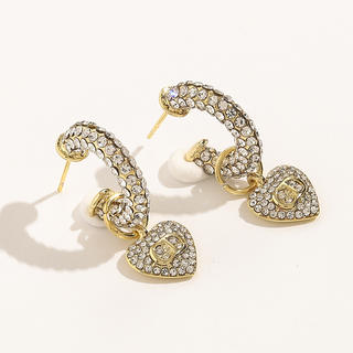 Earrings 741
